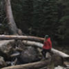 agivand2